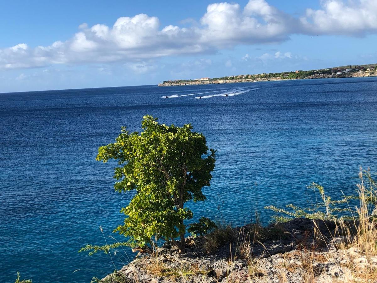 Marazul Dive Resort. 3 Bedroom Seafront House. Dive, Snorkel, Enjoy Amazing Sunsets Westpunt Eksteriør bilde
