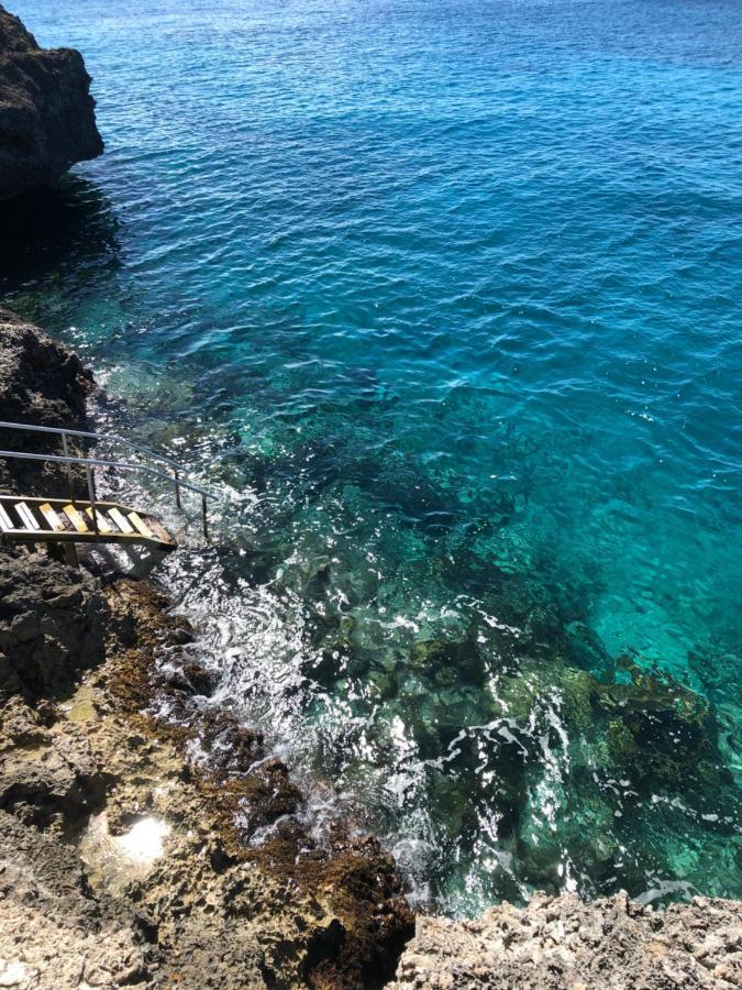 Marazul Dive Resort. 3 Bedroom Seafront House. Dive, Snorkel, Enjoy Amazing Sunsets Westpunt Eksteriør bilde
